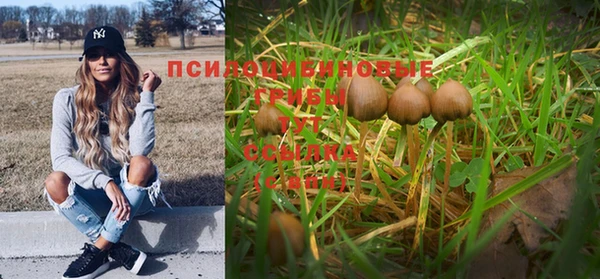 ГАЛЛЮЦИНОГЕННЫЕ ГРИБЫ Балахна