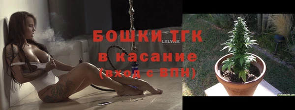 ГАЛЛЮЦИНОГЕННЫЕ ГРИБЫ Балахна