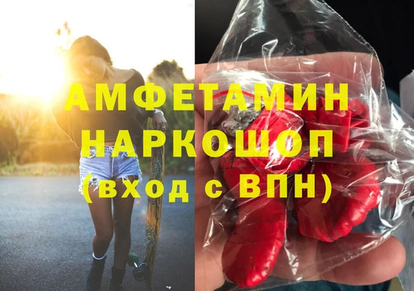 ГАЛЛЮЦИНОГЕННЫЕ ГРИБЫ Балахна