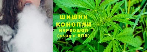 ГАЛЛЮЦИНОГЕННЫЕ ГРИБЫ Балахна