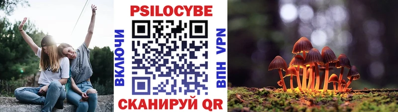 мега ССЫЛКА  Курчатов  Псилоцибиновые грибы прущие грибы 
